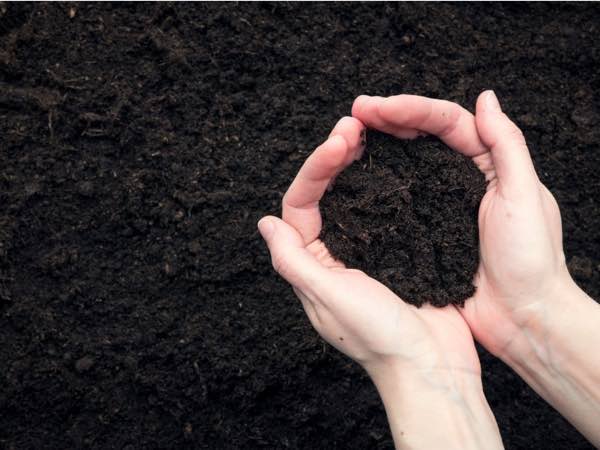 buy topsoil northern kentucky