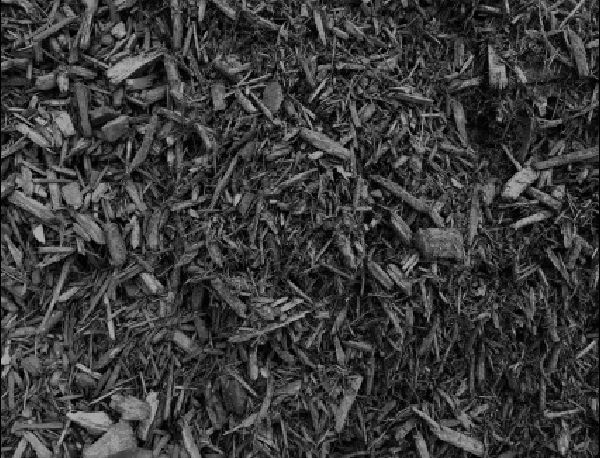 dyed black mulch northern kentucky