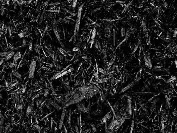 premium dyed black mulch northern kentucky